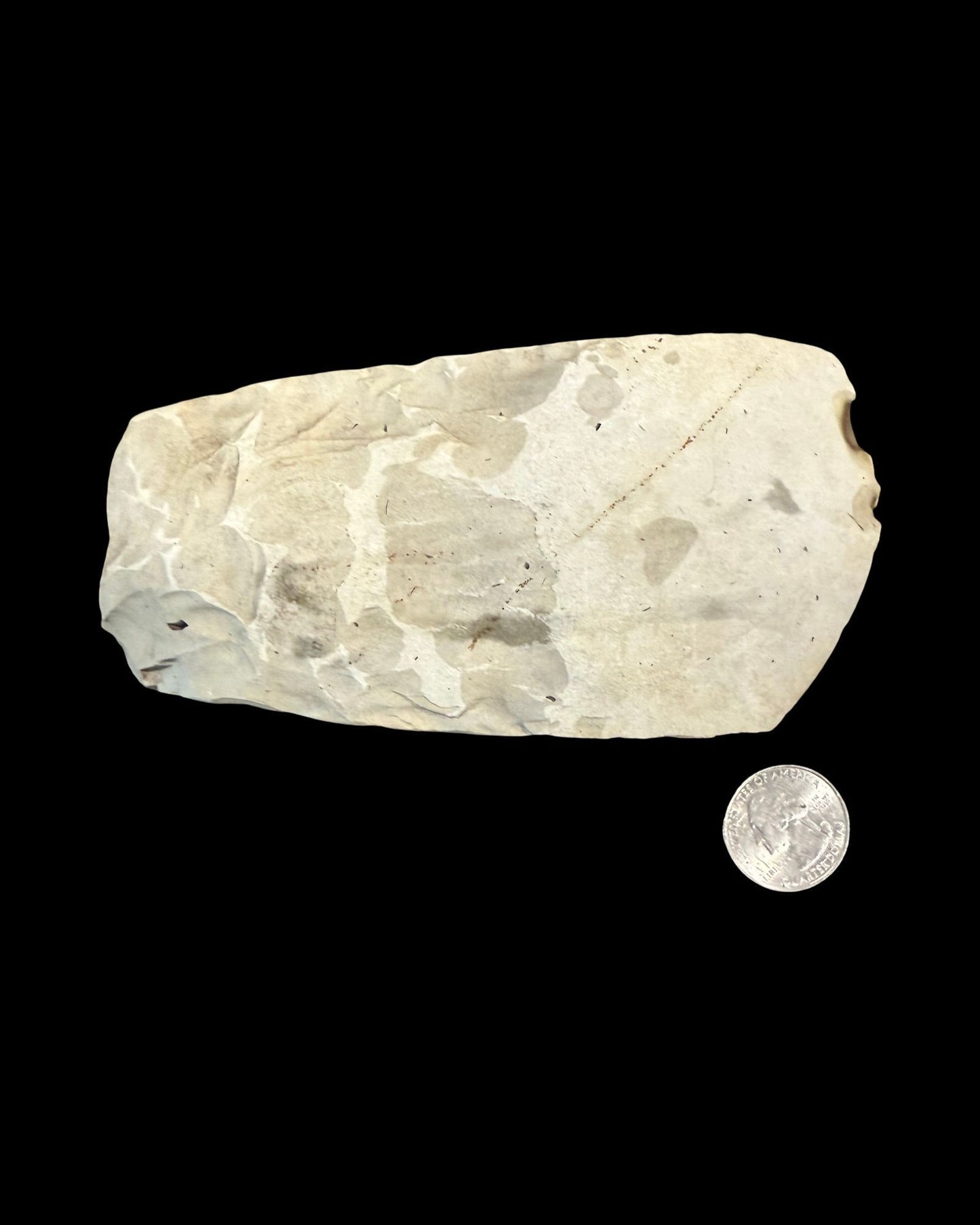 Neolithic Polished Stone Axe Head – Northern Europe, c. 3900–1700 BCE